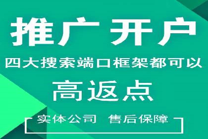 百度广告推广的投放策略与市场分析